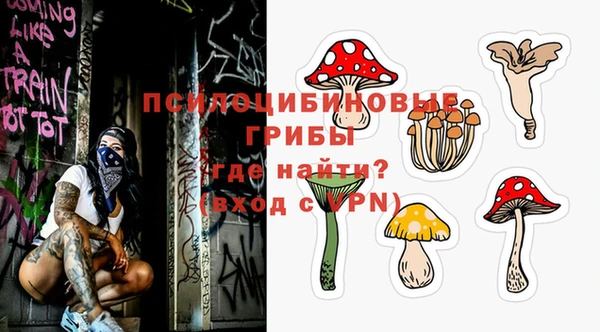 экстази Арсеньев