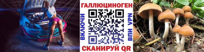 Купить закладки  Вилючинск  Галлюциногенные грибы MAGIC MUSHROOMS 